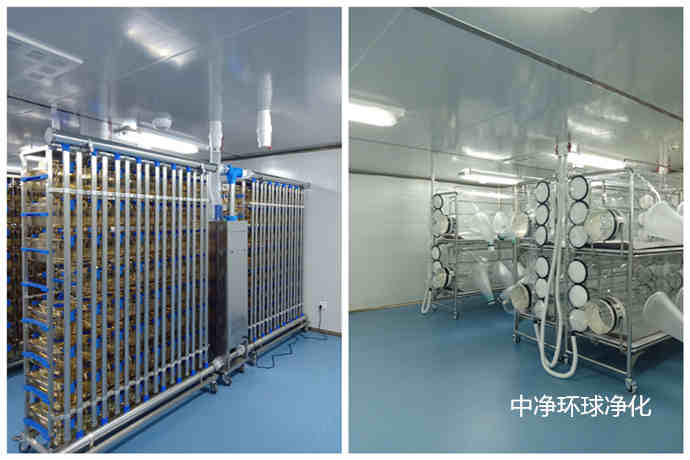 動物實(shí)驗(yàn)中心建設(shè)規(guī)劃布置